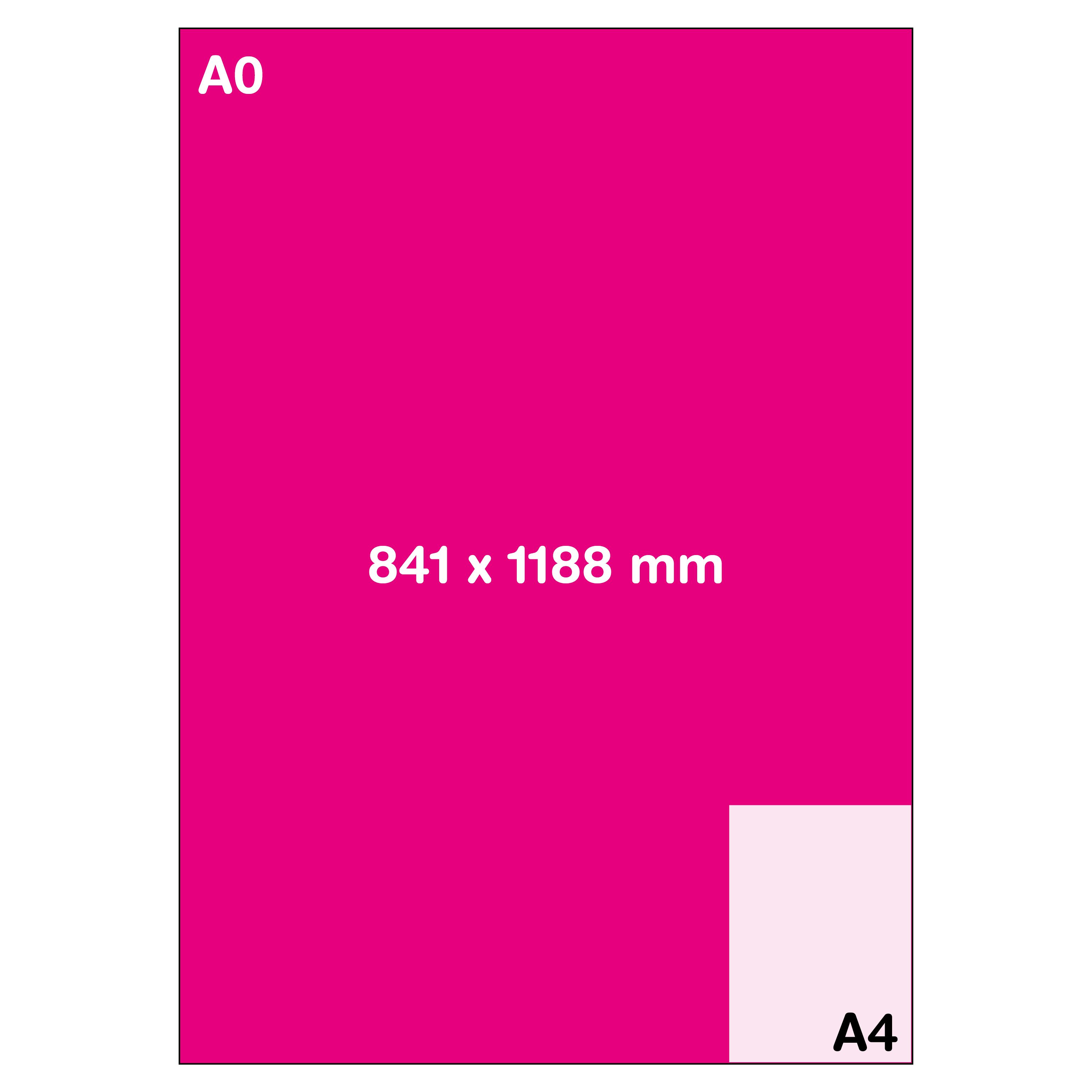 Format A0 (84.1 x 118.8 cm)