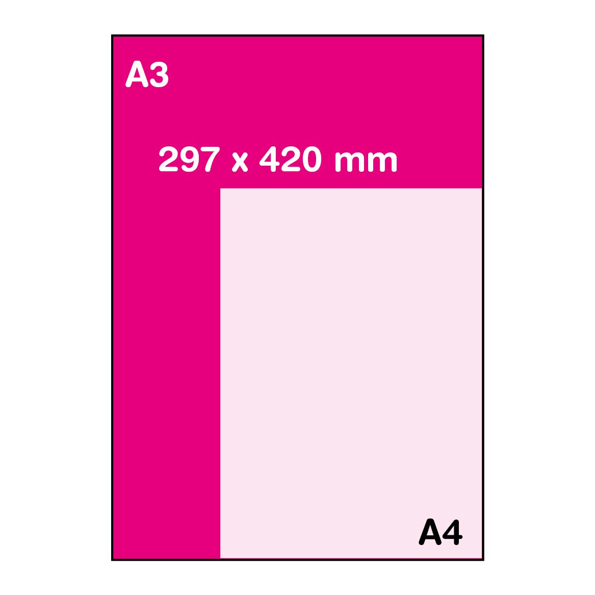 Format A3 (29.7 x 42 cm)