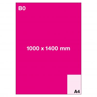 Format B0 (100 x 140 cm)