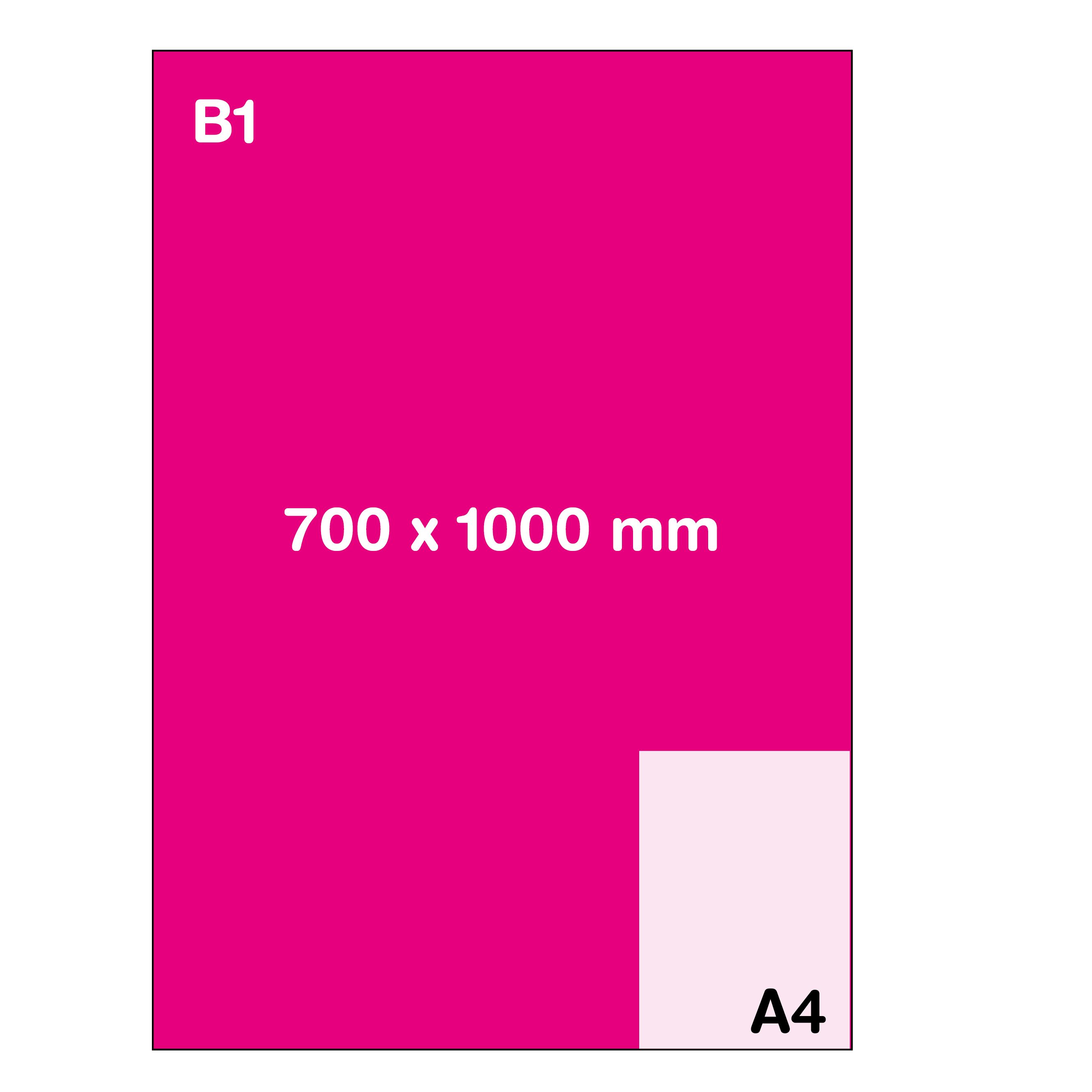 Format B1 (70 x 100 cm)