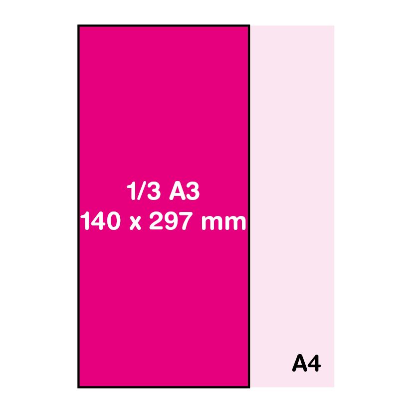 Format 1/3 A3 (14 x 29.7 cm)
