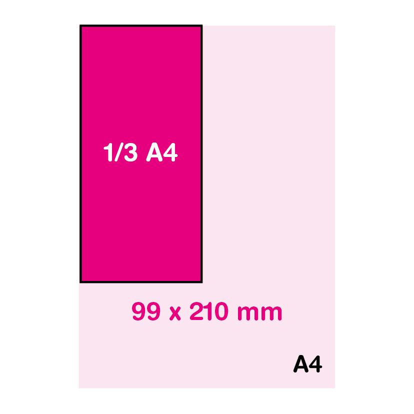 Format 1/3 A4 (9.9 x 21 cm)